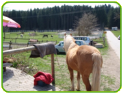 Wo sind die anderen? Wo sind die anderen?